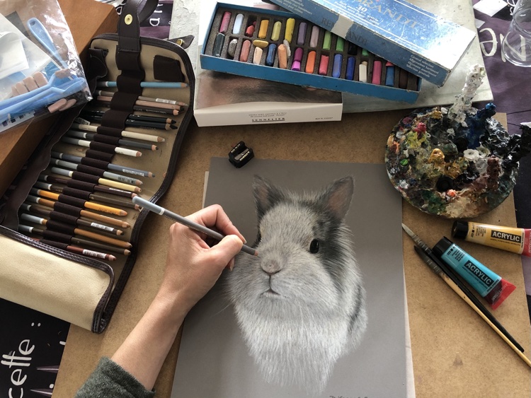 A propos de mon parcours artistique. Commande portrait animalier