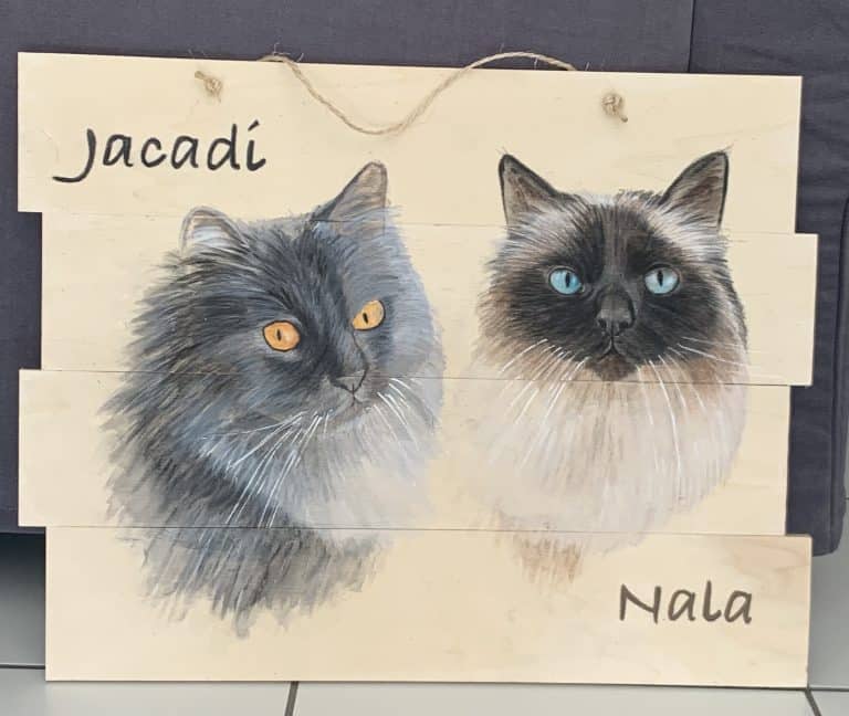 Portrait 2 chats sur bois