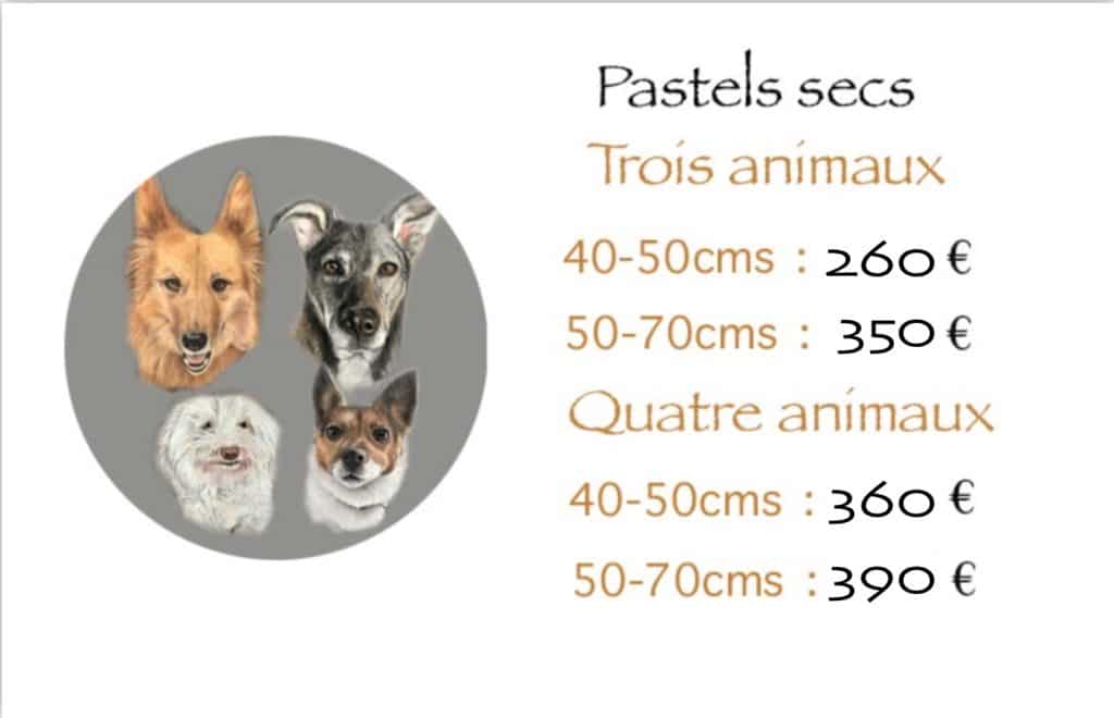 Tarifs portraits 4 animaux pastels secs