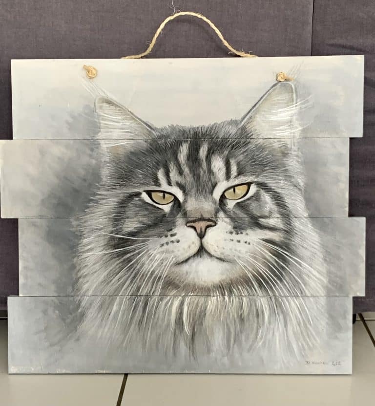Portrait bois, chat